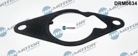 Dr.Motor Automotive DRM0634 Dichtung FüR Unterdruckpumpe