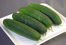 Cucumber County Fair    250 seeds