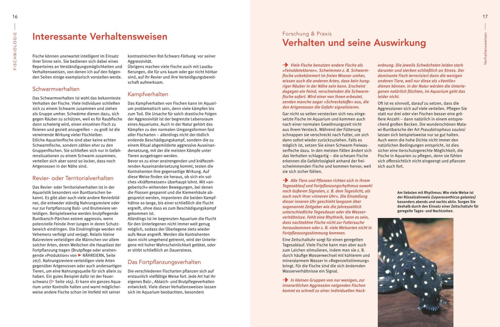 Thumbnail - Ulrich Schliewen Praxishandbuch Aquarium