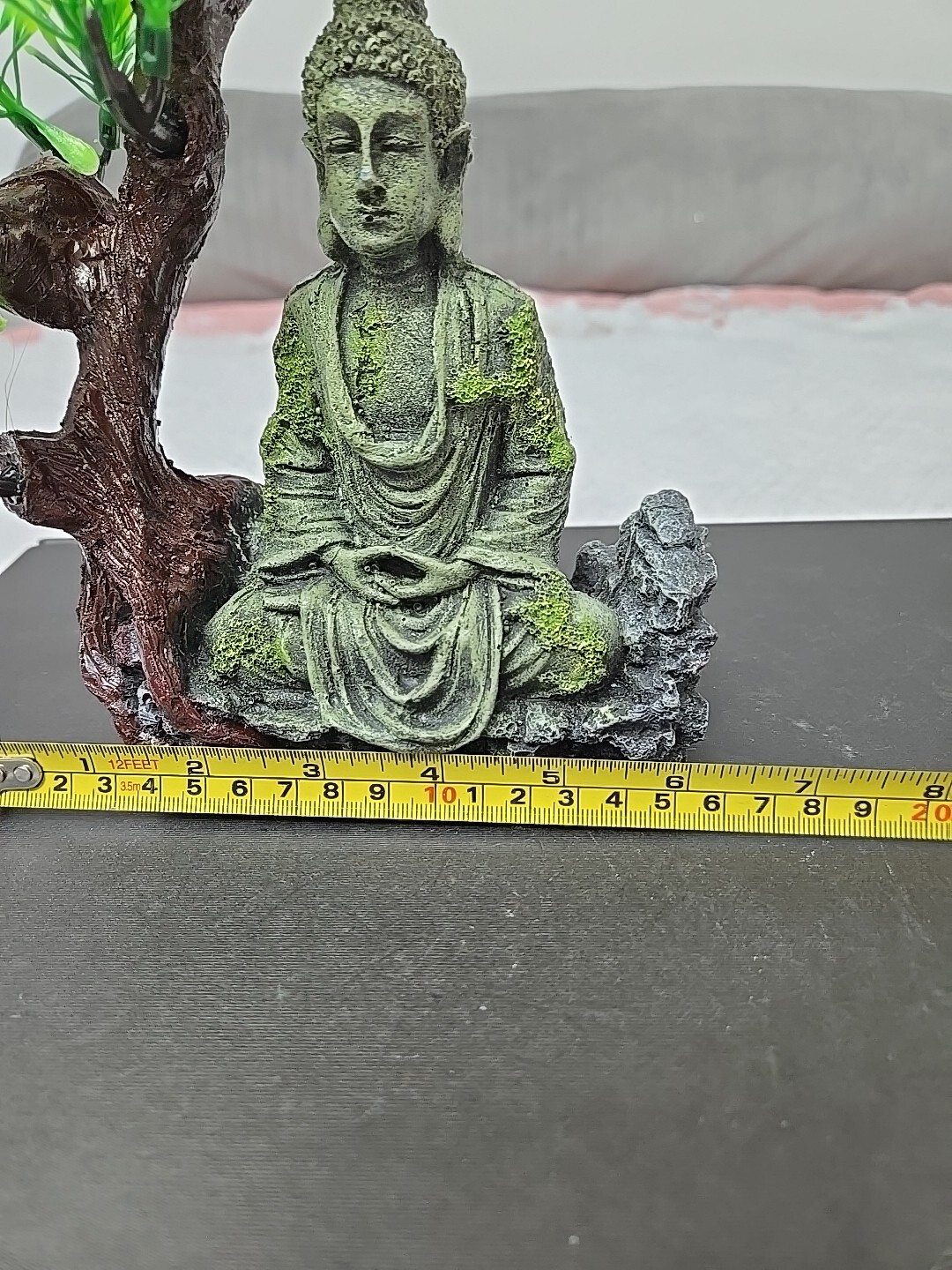 Picture 6 of 8