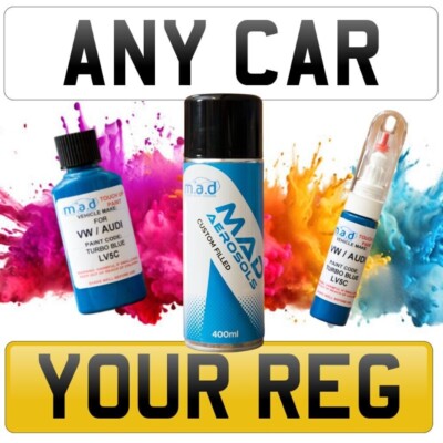 MAD PAINTS Paint For Touch Up MINI License Plate Reg Brush Pen 20ML