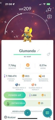  Pokémon Go Shiny Glumanda Friedes Brille / Charmander Friede s Googles 
