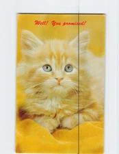 Postcard Well! You promised! with Cat Close Up Picture