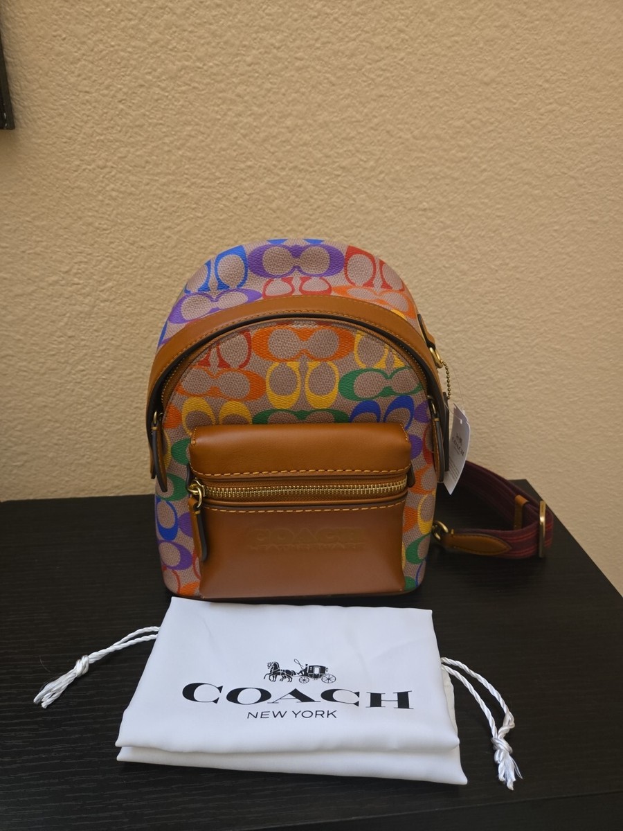 Coach Charter Backpack 18 In Rainbow Signature Canvas | eBay display picture 2