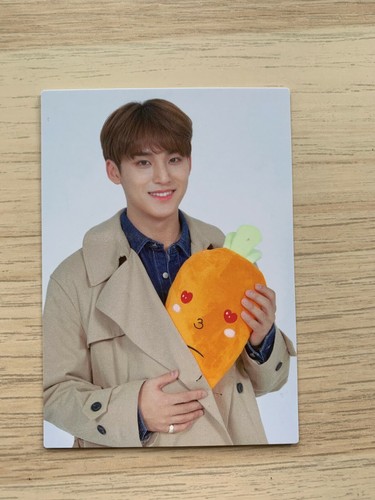 SEVENTEEN 2019 Haru Japan Tour official photo card (select option) - Picture 38 of 42