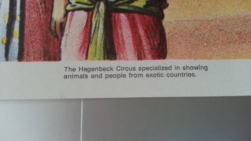 INDIEN Gustav Hagenbeck Schau Nostalgie Poster - Bild 8 von 17