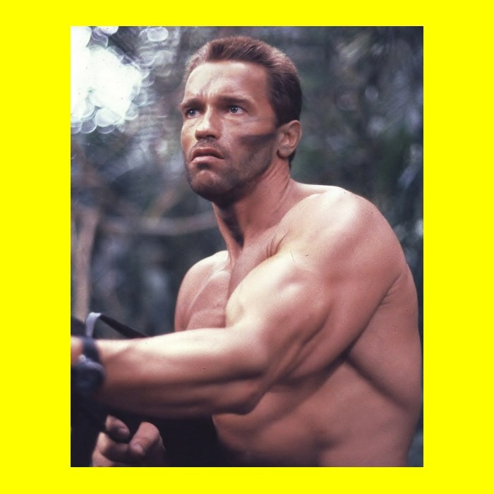 Arnold Schwarzenegger - Predator #85342 - 8x10 Photo Printed at a Lab