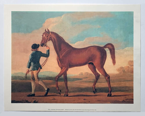 Koń wyścigowy Regulus, autorstwa Richarda Ropera, (1730 - 1775) reprodukcja nadruk - Zdjęcie 1 z 1
