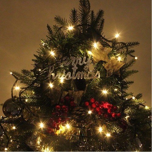 Indoor/Outdoor LED Christmas Lights on Dark Green Cable (1000LEDs, Warm) - Picture 2 of 7