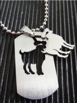Anhänger + Kette Sternzeichen WIDDER Aries Zodiac Sign chain