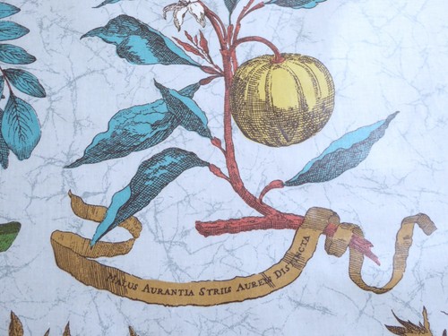 Vintage Cyrus Clark Eden Latin Botanical Cotton Chintz Fabric - Picture 4 of 10