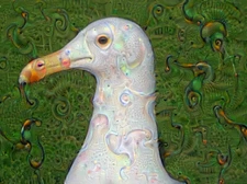 Digital Original Art Print on Canvas, Surreal Seagull Office & Home Decor 24x36"