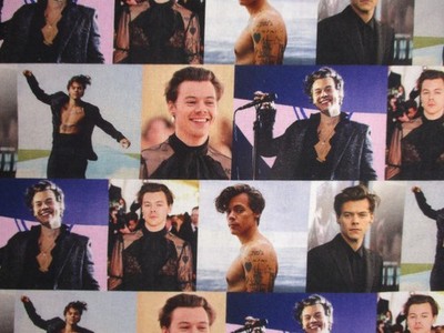 Harry Styles, Musician on 100% Cotton Fabric by the 1/4 Yard : 9'' x 57''