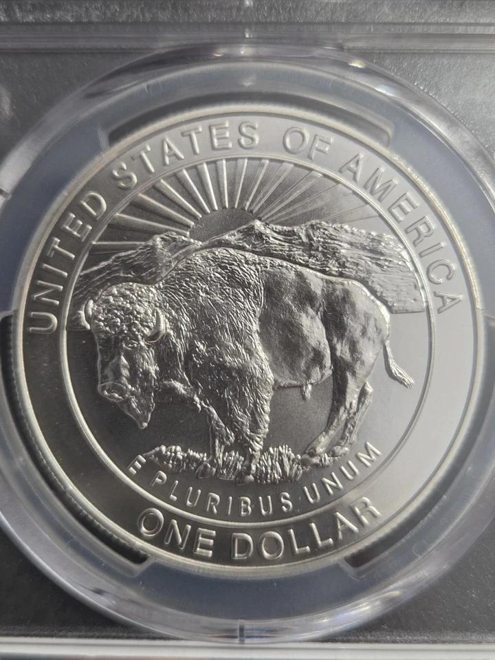 Dólar de plata conmemorativo Yellowstone 1999-P graduación profesional MS70 ETIQUETA AZUL  Foto 4 de 4