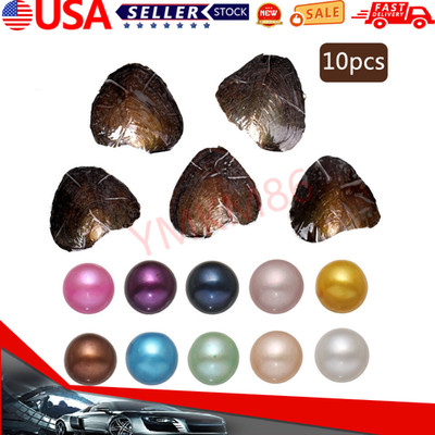 Large 10PCS Individually Wrapped Freshwater Pearl Oysters Real Freshwater Pear