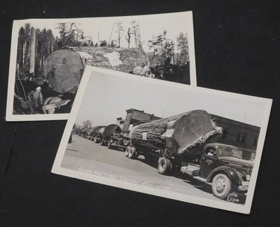 Pair RPPC Logging Scenes Giant Fir Logs Western Washington Ellis Kleppinger