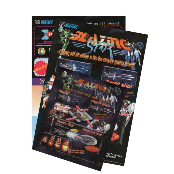 ARTWORK NEO GEO MVS Flyers Marquee Sticker Dip Switch || READ DESCRIPTION || - Image 4 of 4