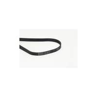 Keilrippenriemen Continental Ctam 6PK1590 FüR Audi CitroËN Fiat Ford Lancia Opel
