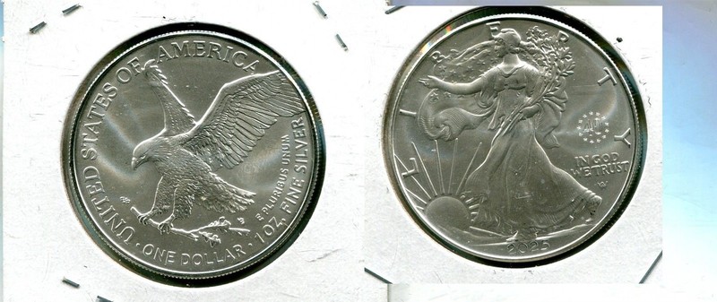 2025 AMERICAN SILVER EAGLE 1 OUNCE SILVER COIN 40 PRIVATE PRIVY MARK 25SE
