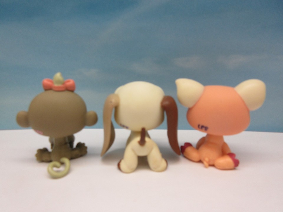 Figurine Littlest Pet Shop N°1593 - Occasion - Hasbro - Idéal Pour Collectionneurs
