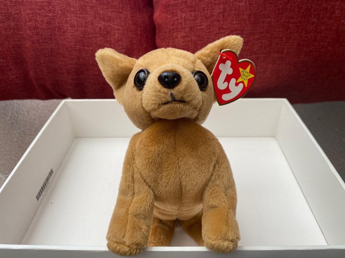 Ty Beanie Baby 1998 Tiny the Chihuahua NEW | eBay