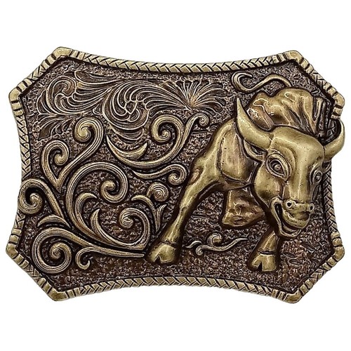 Premium Photo | A brown belt with a silver buckle