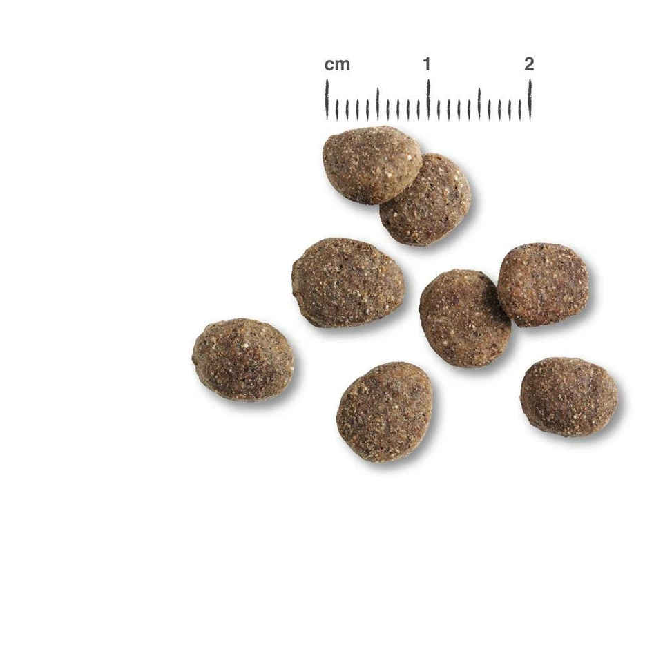 Belcando Finest GF Senior 12,5 kg - getreidefreies Hundefutter für alte Hunde - Bild 2 von 2