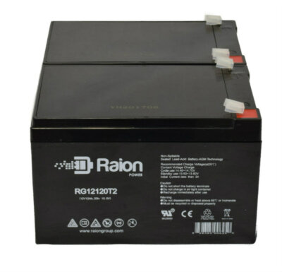 Raion Power 12V 12Ah Battery For Dongjin DJ12-12 - 2 Pack