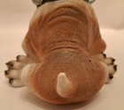 Bild 11 von 14