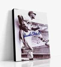 Buck ONeil Autograph Print - Dugout View - Negro Leagues Legend