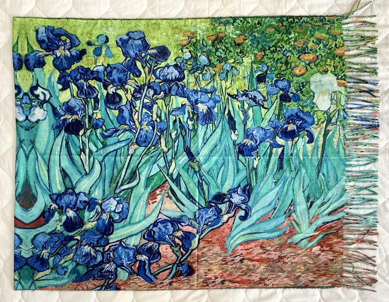 Van Gogh Irises Flowers 2 Sided Cashmere Feel Scarf/Wrap/Shawl 69.5” x 29” NWOT