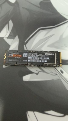 Samsung 970 EVO Plus 250GB NVMe M.2 SSD PCIe 3.0 interne SSD   Getestet1