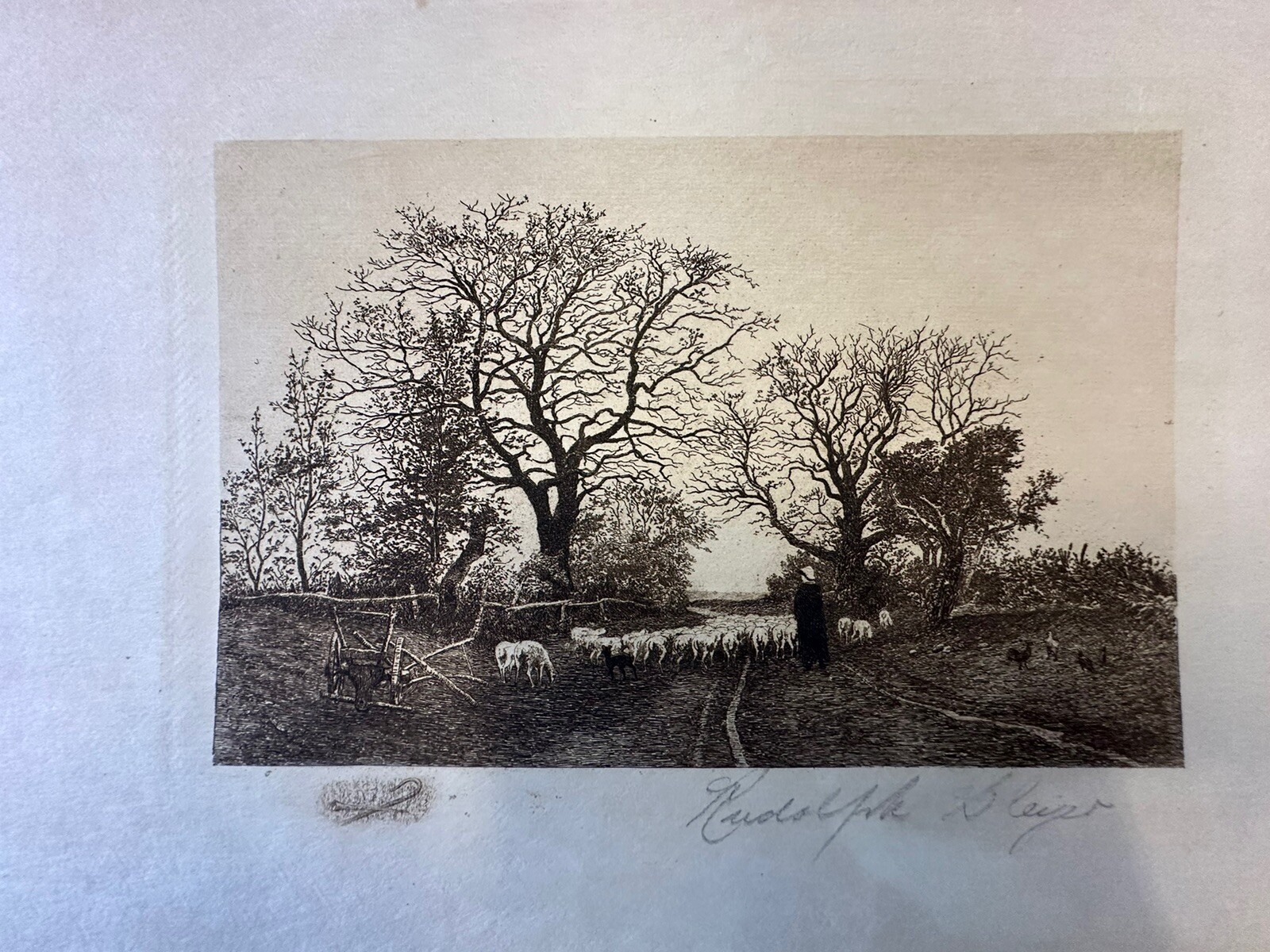 Picture 4 of 4