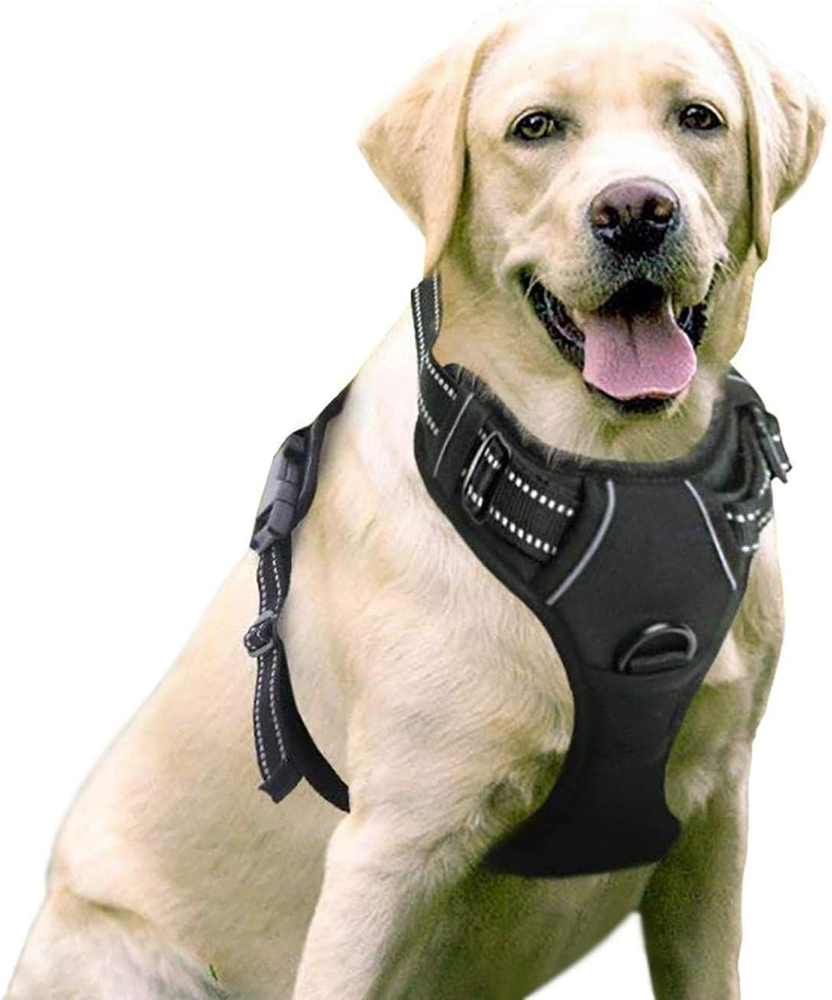 Dog Harness, No-Strap Pet Harness with 2 Leash Clips, Adjustable Soft Padded Dog
