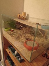 Gehege Zu Verkaufen Für Hamster Oder Mäuse 75x45x35 cm