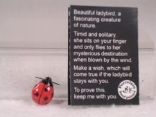 Klima Miniature Porcelain Lucky Ladybug W/Car...