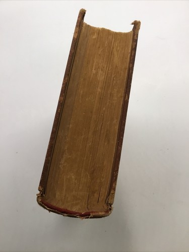 The Vegetarian Cook Book 1910 E G Fulton, RARE!!! - Picture 3 of 13