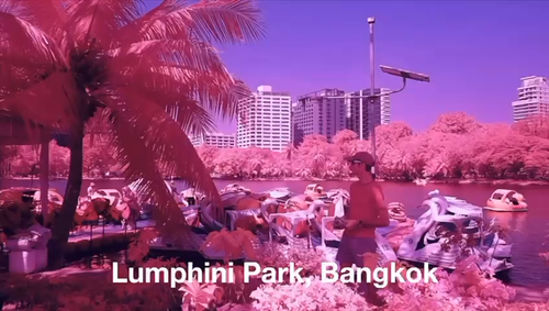 IRchrome, Aerochrome Infrared filter 67mm *** Watch Video *** For Full Spectrum - Video 1 of 1