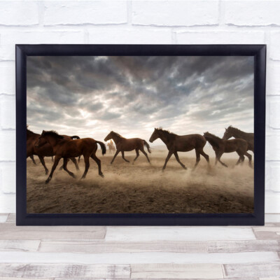 Wildpferde Pferdeherde läuft Galopp galoppierend Wandbilddruck