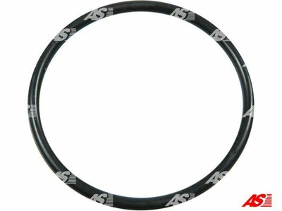 AS-PL ARS2011(BULK) Repair Kit, alternator