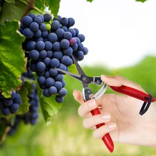Pruning Shear HCS Garden Scissors Fruit Grape Orange Shears Tomato Scissors