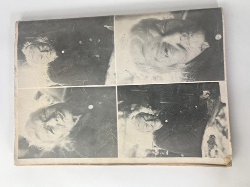 Vintage Cape Breton’s Magazine Collector’s Edition Issues 7-12 Nova Scotia Histo - Foto 7 di 8