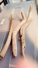 Need driftwood for a project? Let me Know What You Need!  5.00 per piece.  