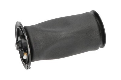 Air Spring, suspension Kavo Parts SAS-10005