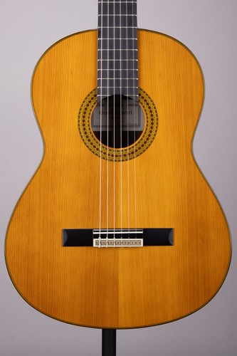 Yamaha GC22C Classical Acoustic Guitar Solid Cedar Rosewood w/ Case