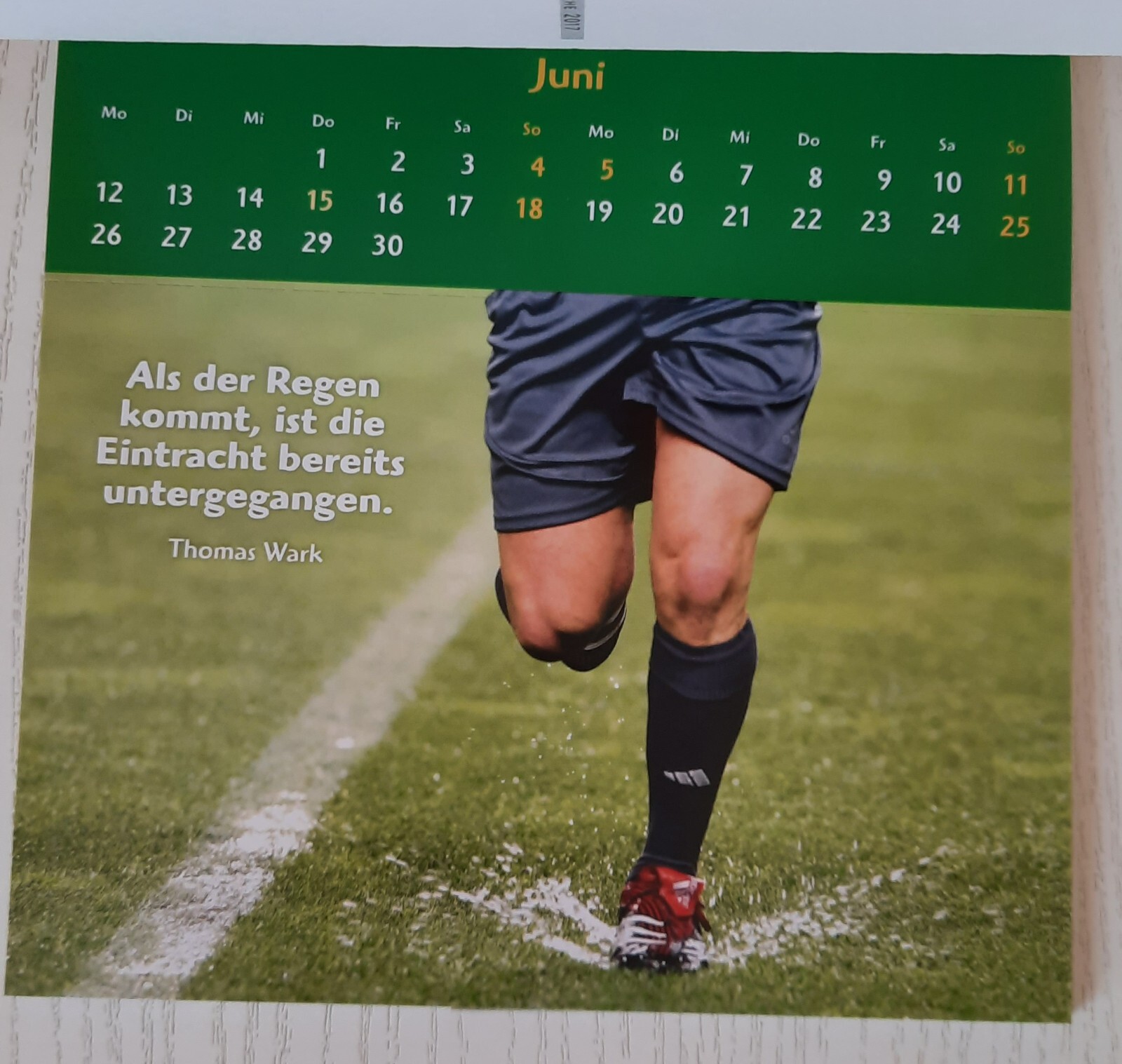 Bild 9 von 12