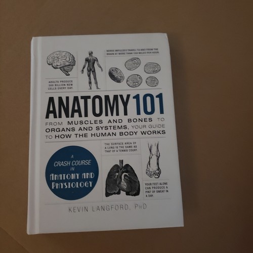 Human Antamy 101 Crash course/ muscles / bones, to organs and systems