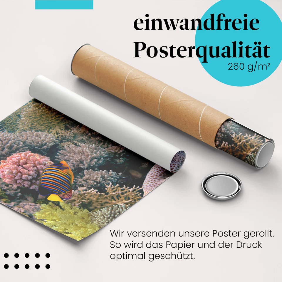 Postereck 0772 Poster Leinwand Korallenriff, Tauchen Fische Meer Natur Wasser - Bild 3 von 4