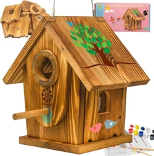 Outdoor Birdhouse Kit, DIY Set for Adults and Children