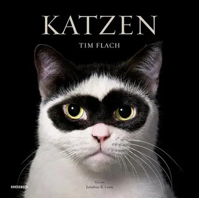 Katzen | Tim Flach | Buch | 336 S. | Deutsch | 2025 | Knesebeck Von Dem GmbH